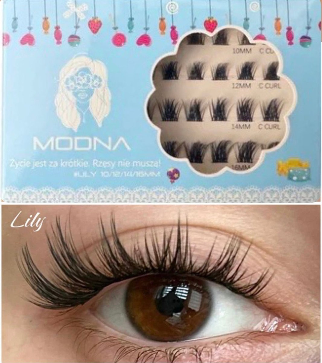 lily 10/12/14/16 C jedwab - Modna Lash