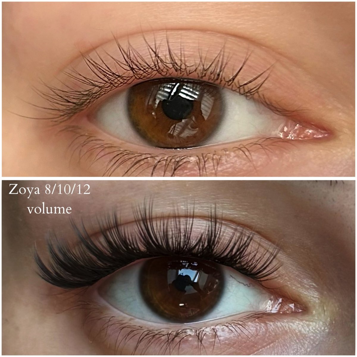 Zoya VIP 8/10/12mm - Modna Lash