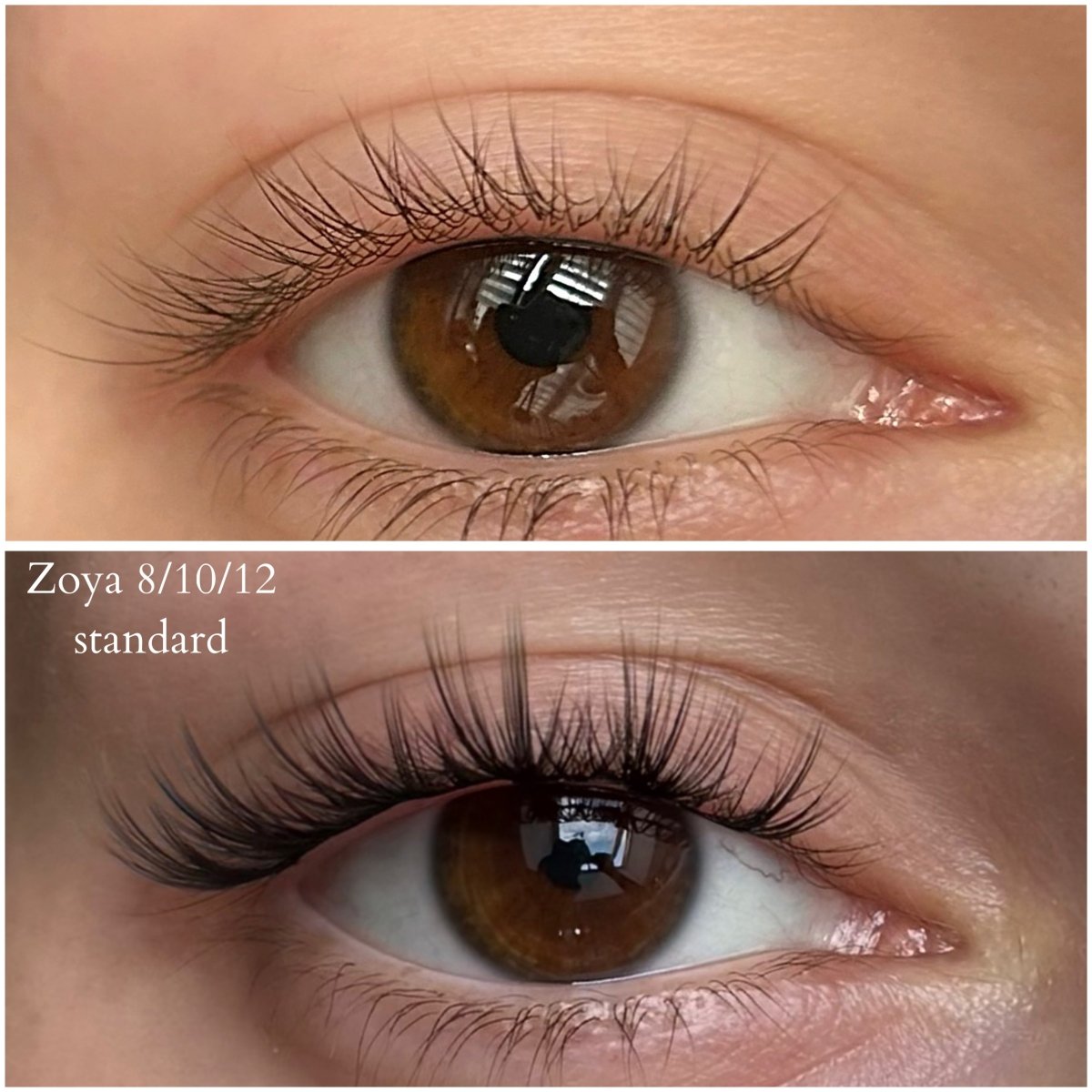 Zoya VIP 8/10/12mm - Modna Lash