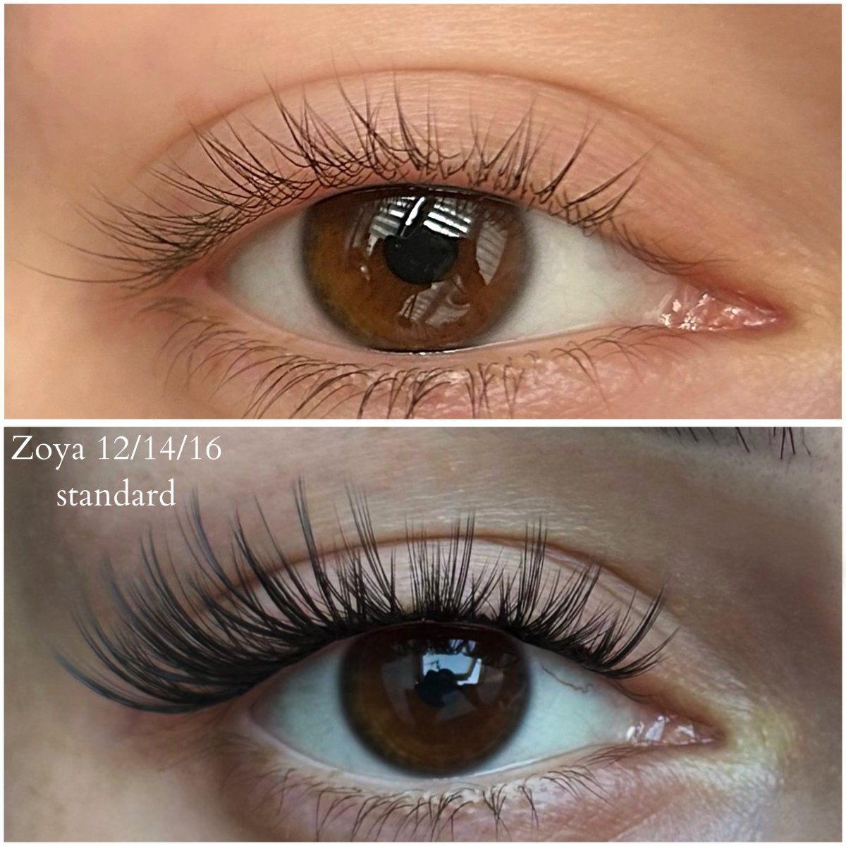 Zoya VIP - Modna Lash