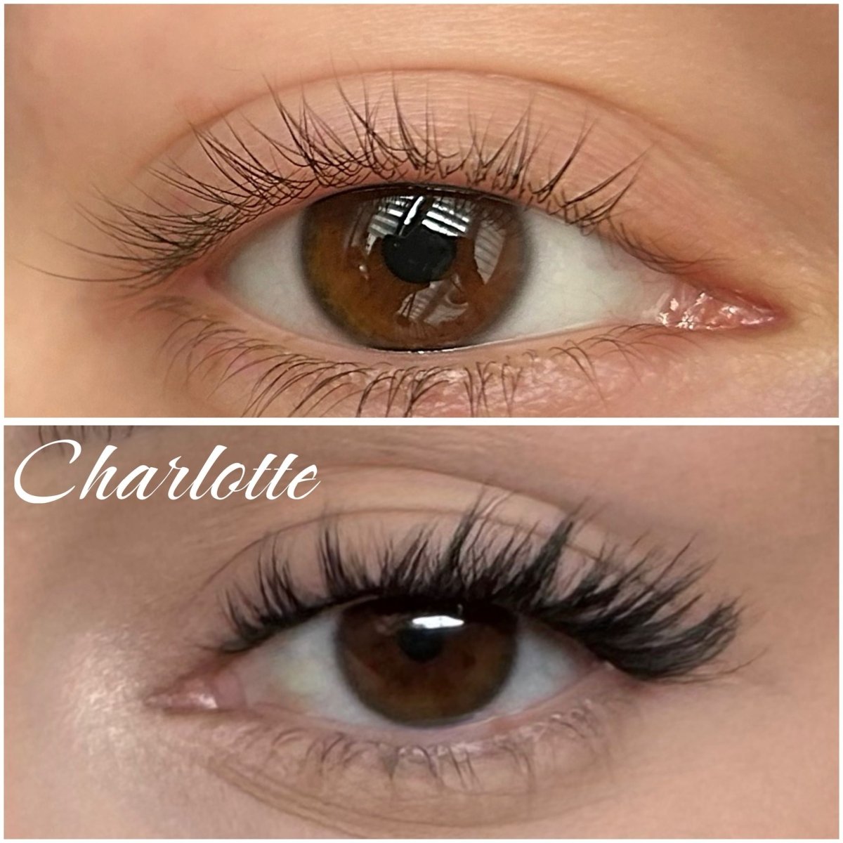 Charlotte skręt M/L 50 kępek - Modna Lash