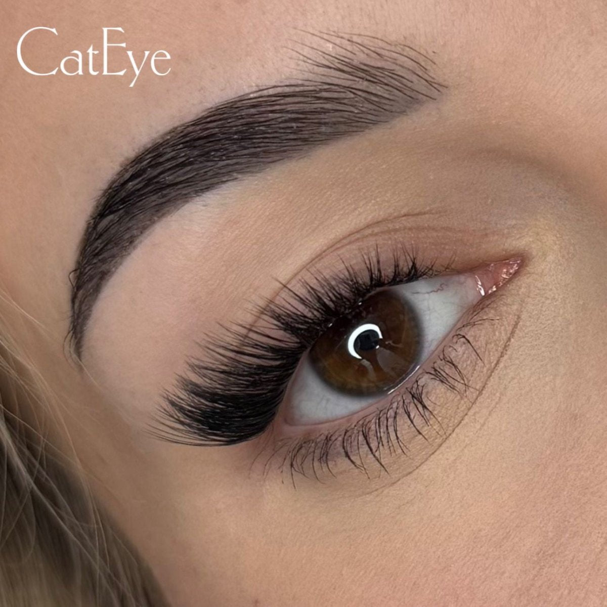 Exclusive pakiet - Modna Lash