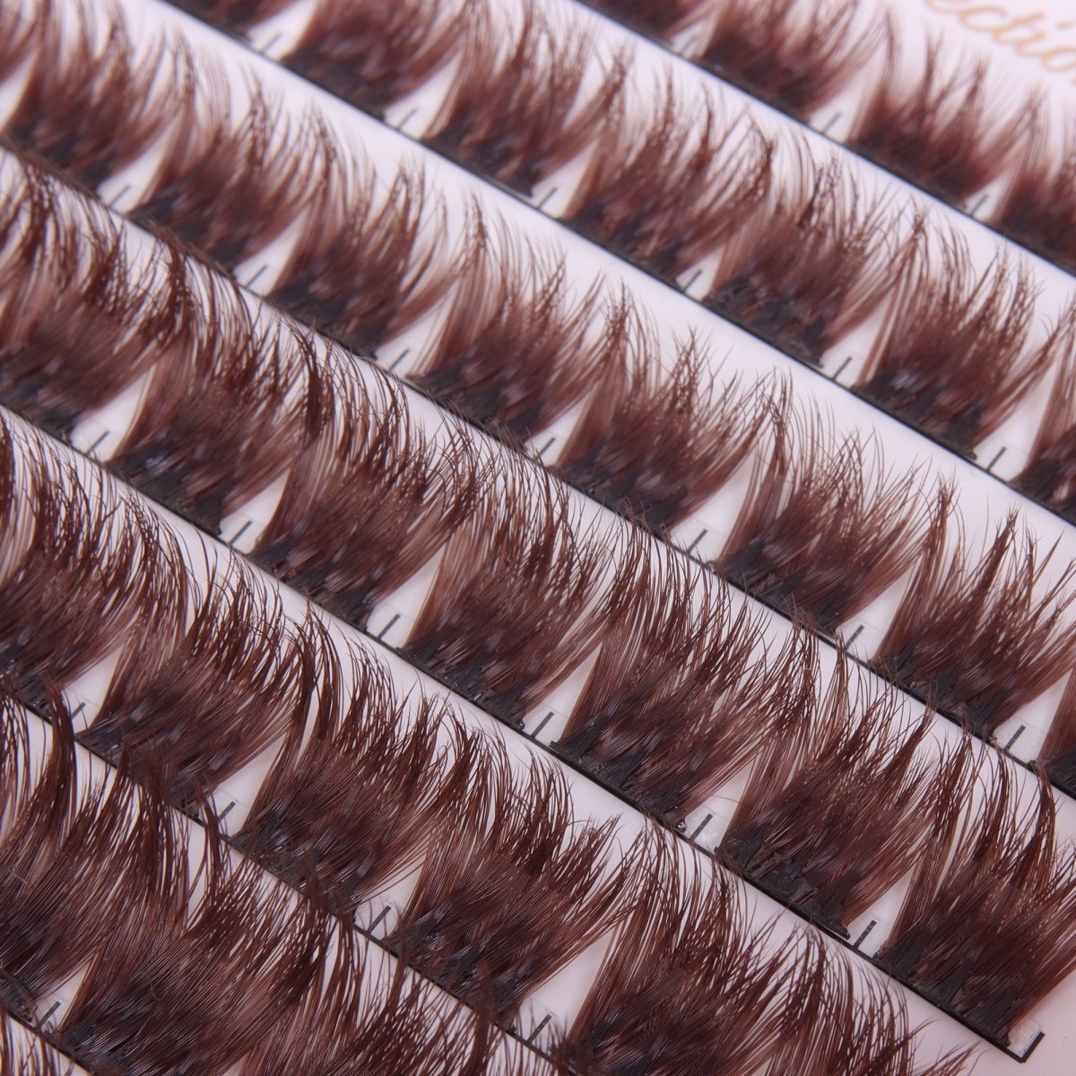 Volume Girl Brown - Modna Lash