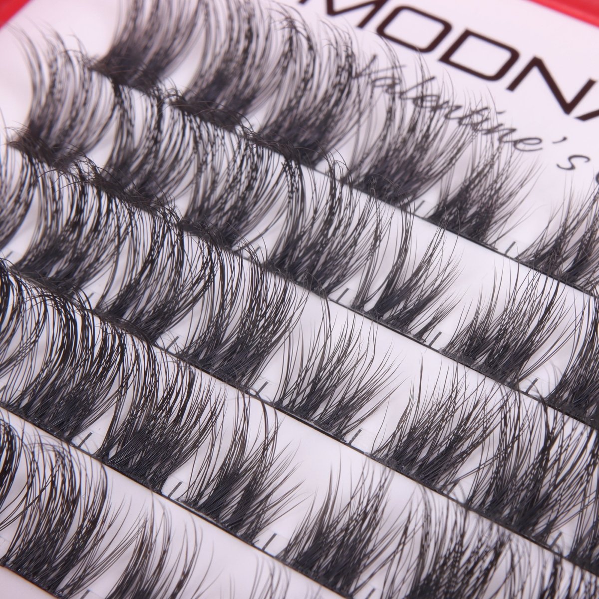 Mery Black - Modna Lash