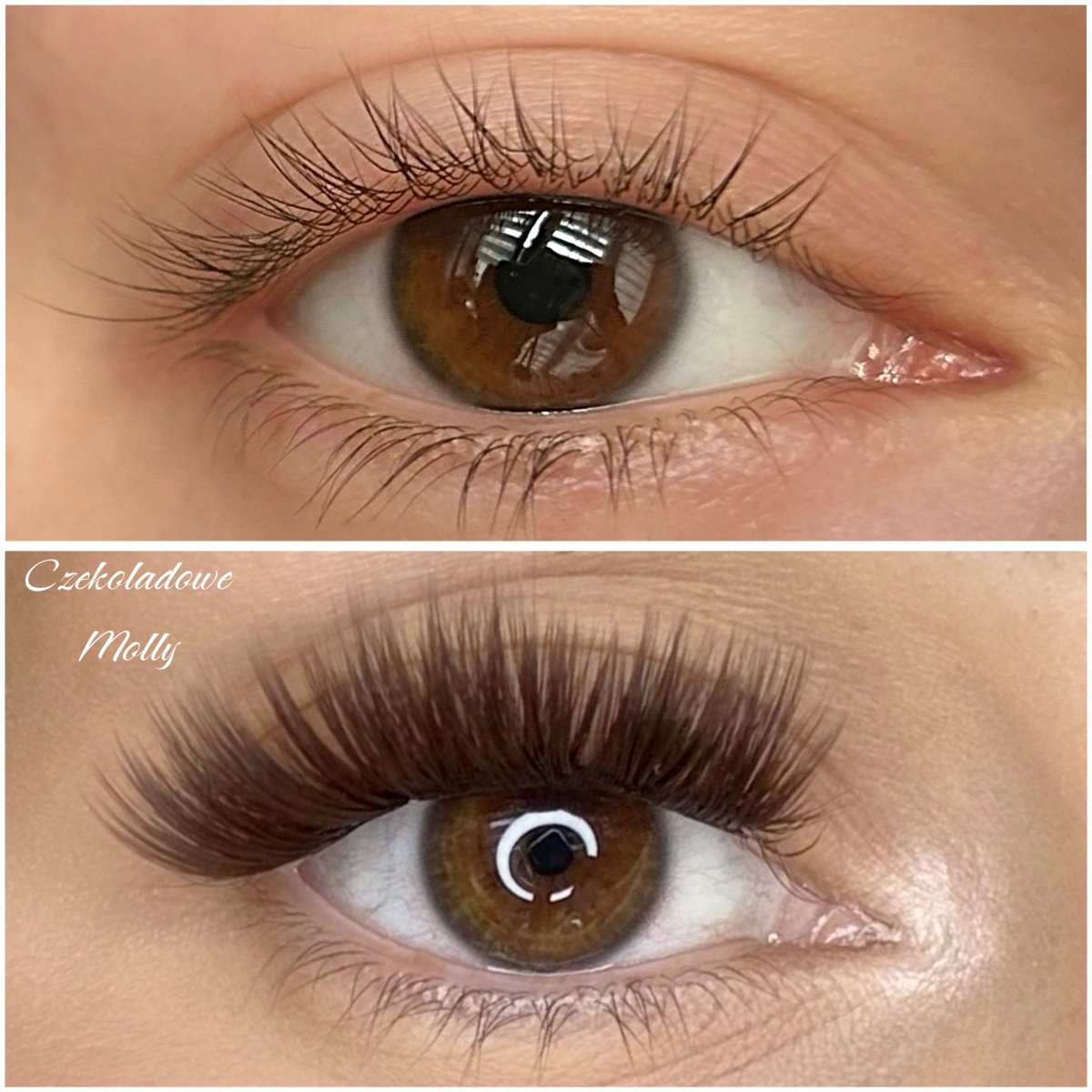 Brązowe Molly C - Modna Lash