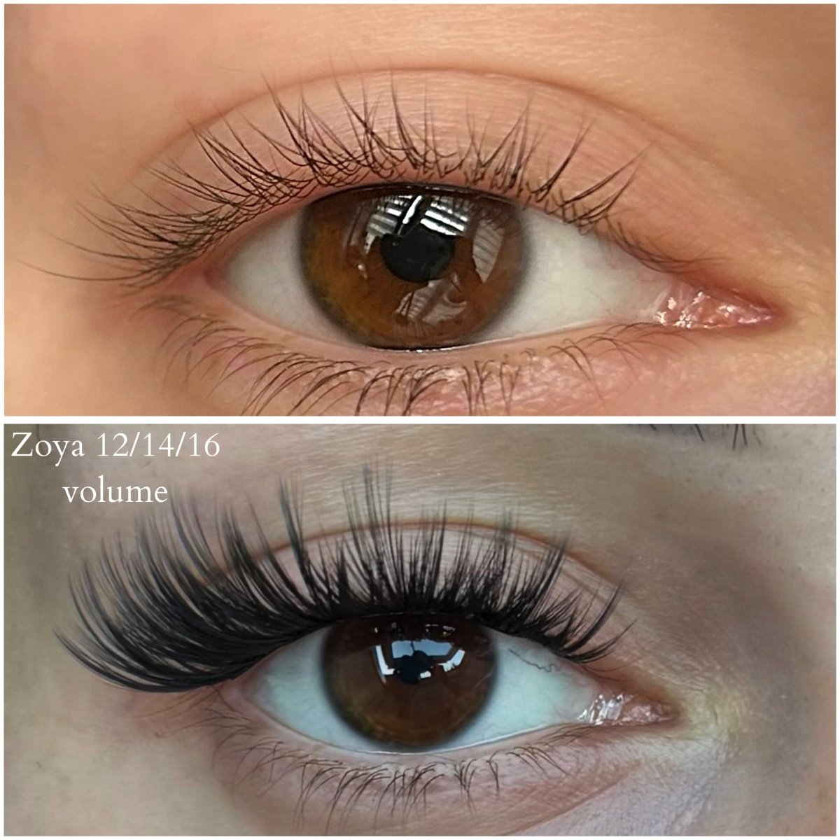 Zoya VIP - Modna Lash
