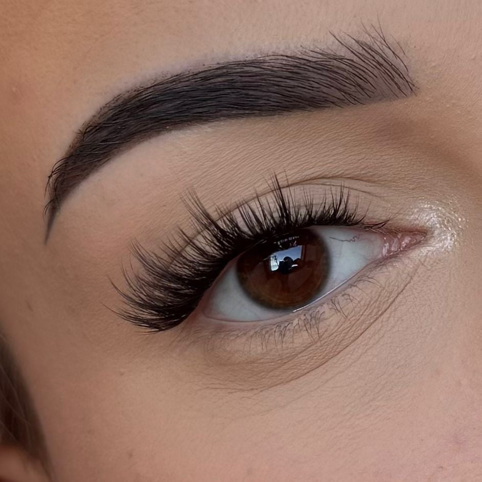 Sabrina Brown/Black mix - Modna Lash