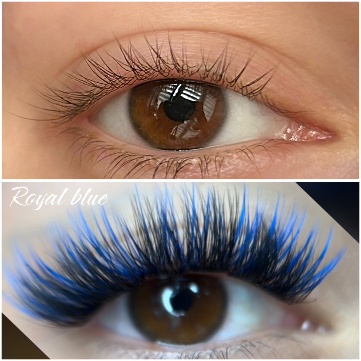 ROYAL BLUE - Modna Lash