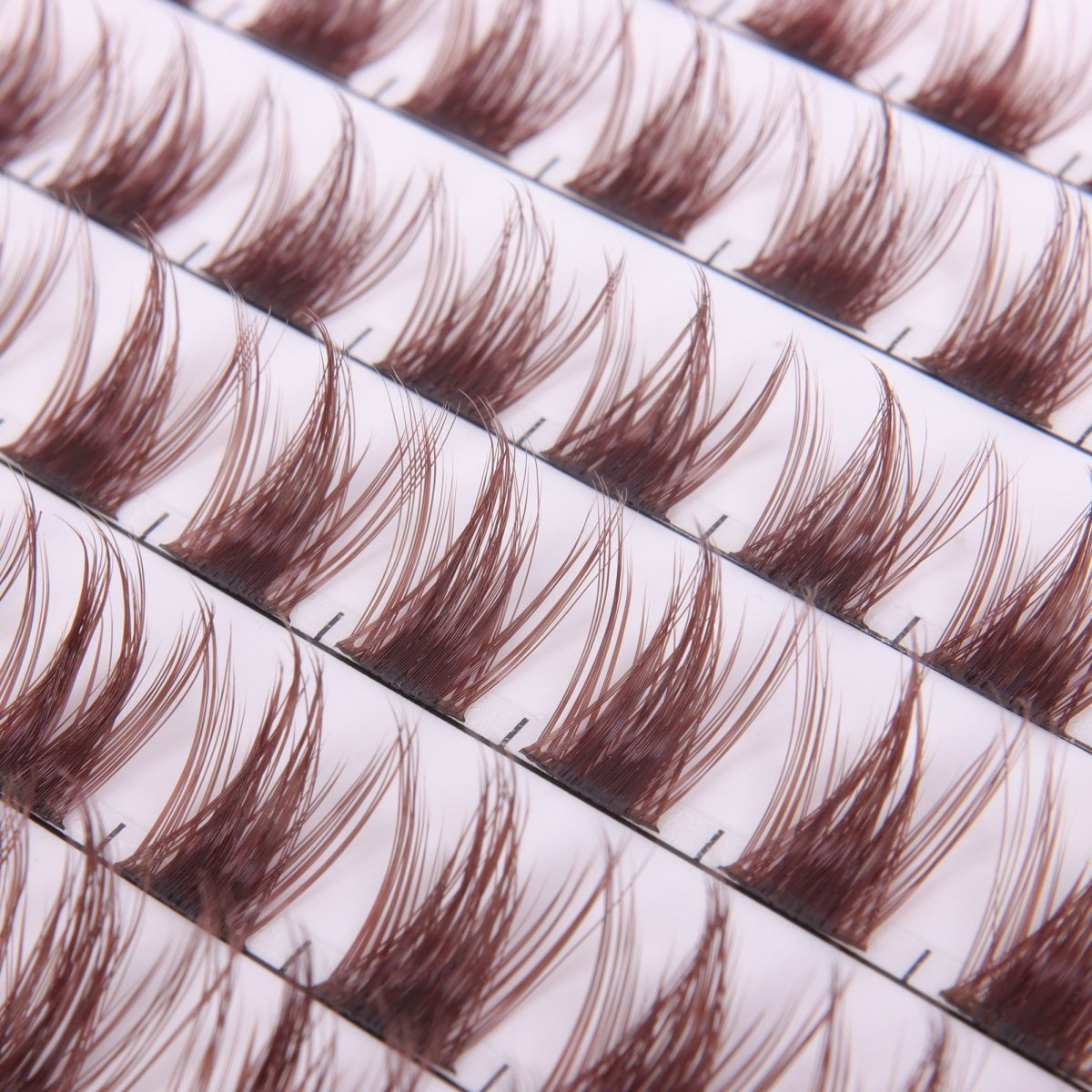 Drama Girl Brown - Modna Lash