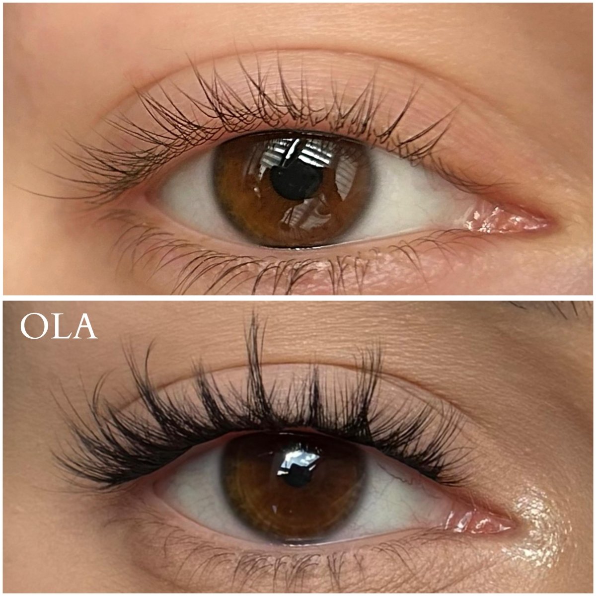 Ola BIO - Modna Lash