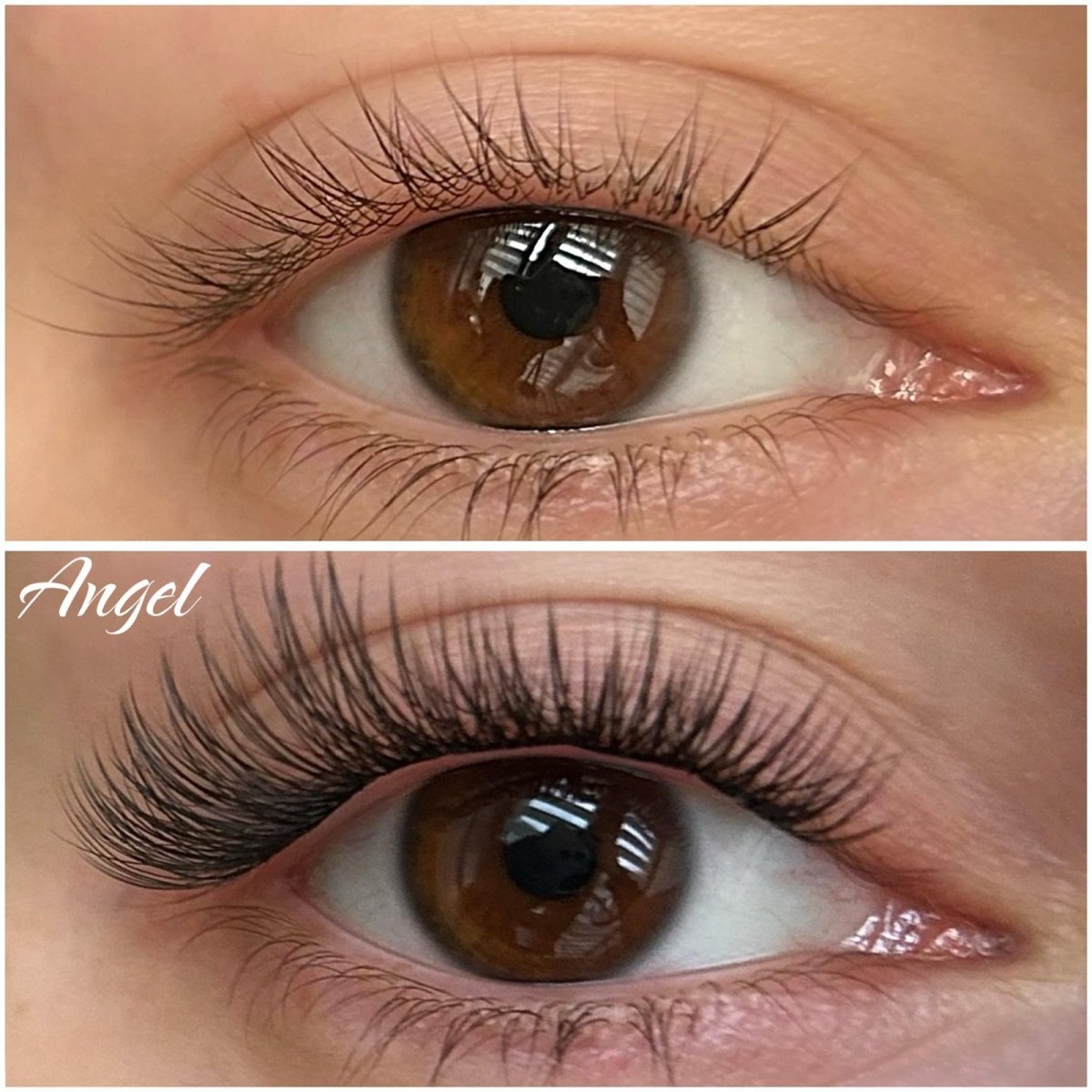 angel gotowe kępki do aplikacji - Modna Lash
