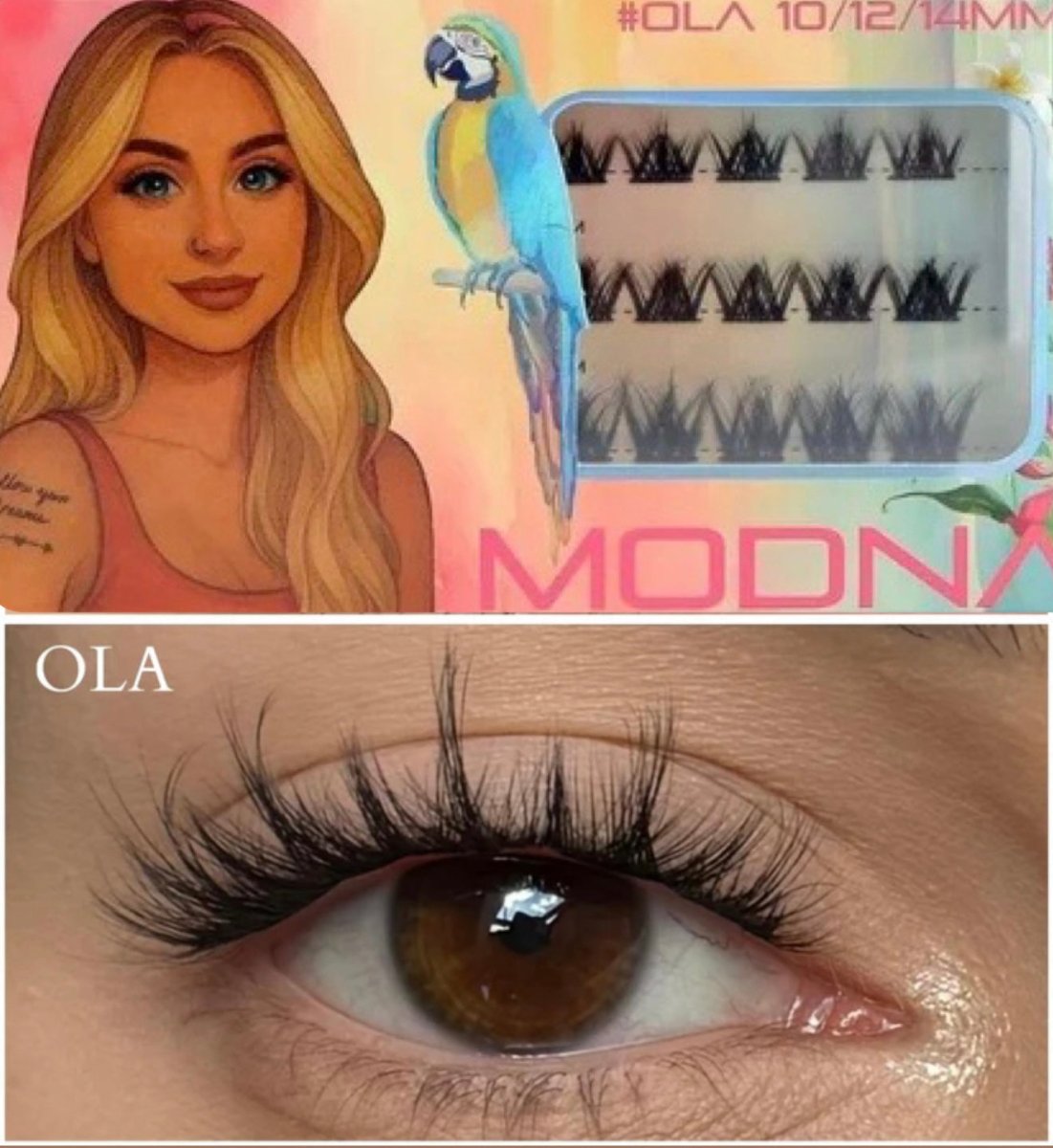 ola 10/12/14 (V shape) kaszmir - Modna Lash