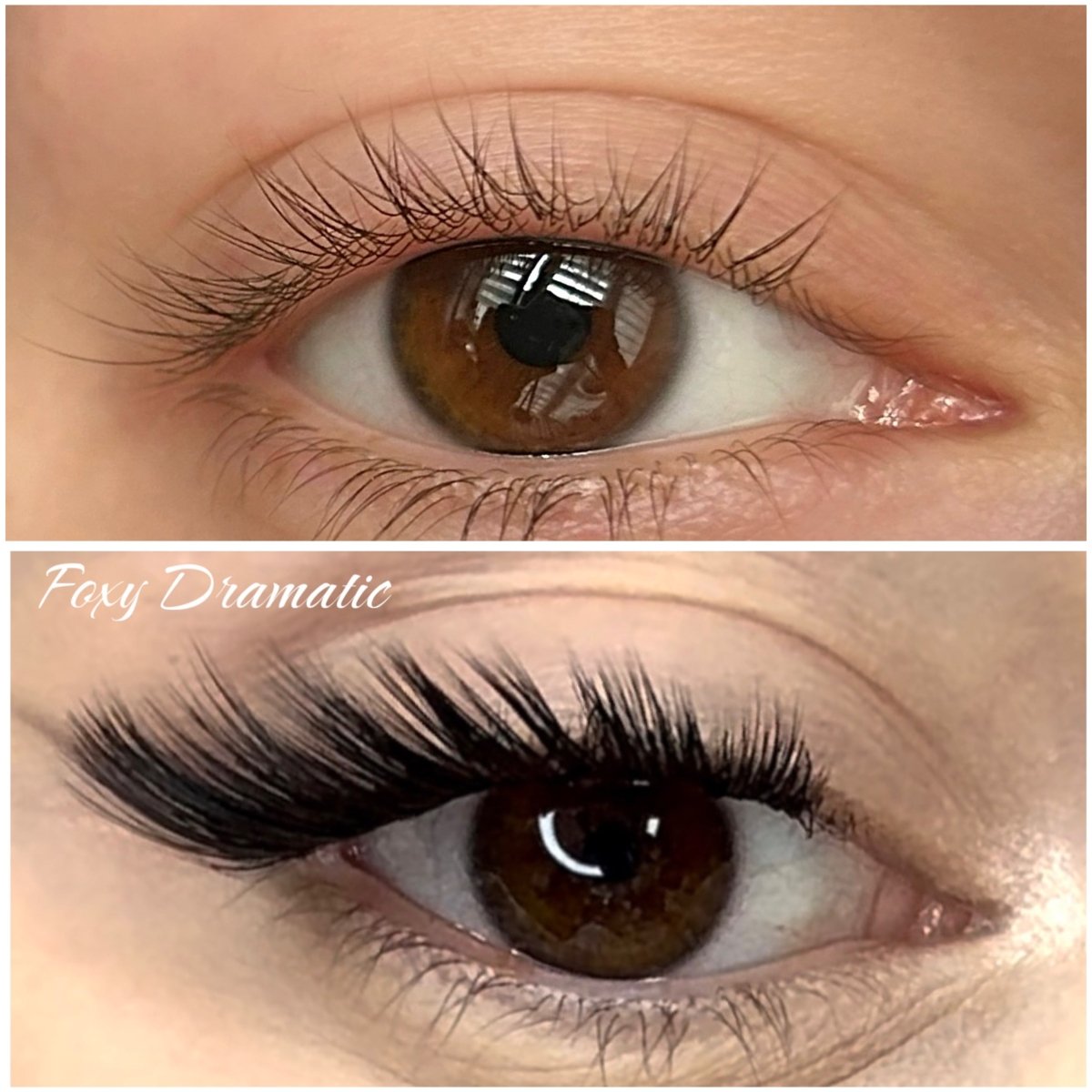 foxy dramatic - Modna Lash