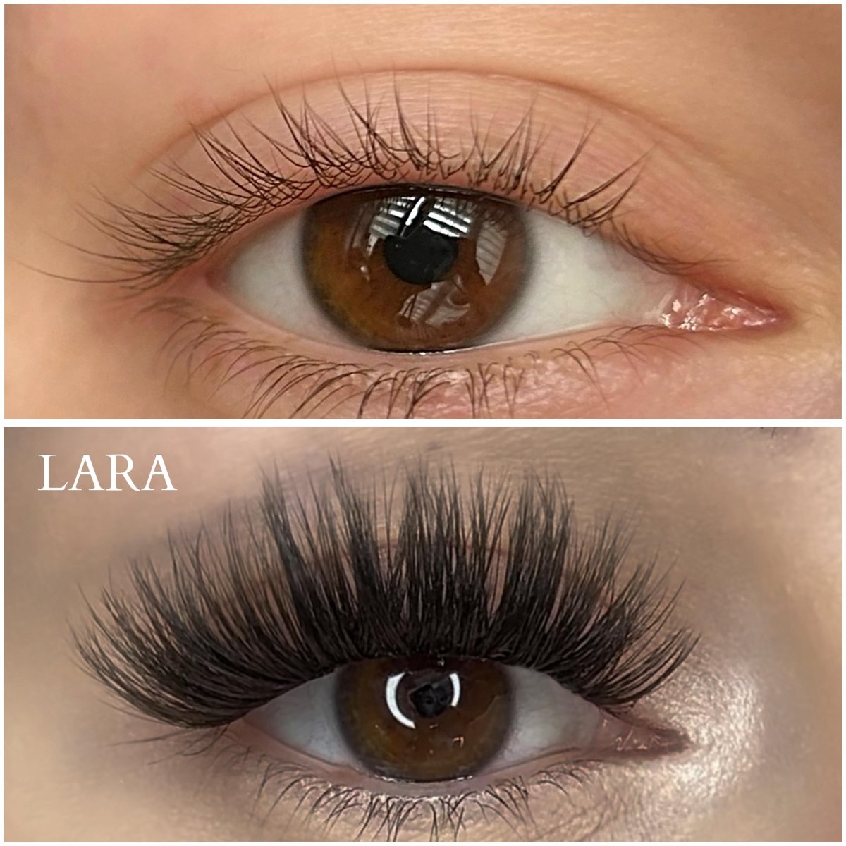 lara 10/12/14/16 C kaszmir paper box - Modna Lash