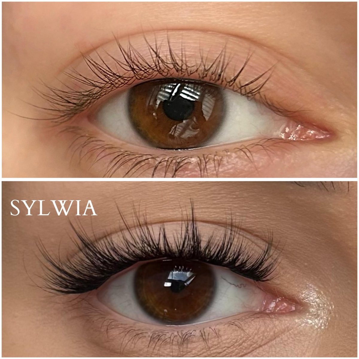 Sylwia BIO - Modna Lash