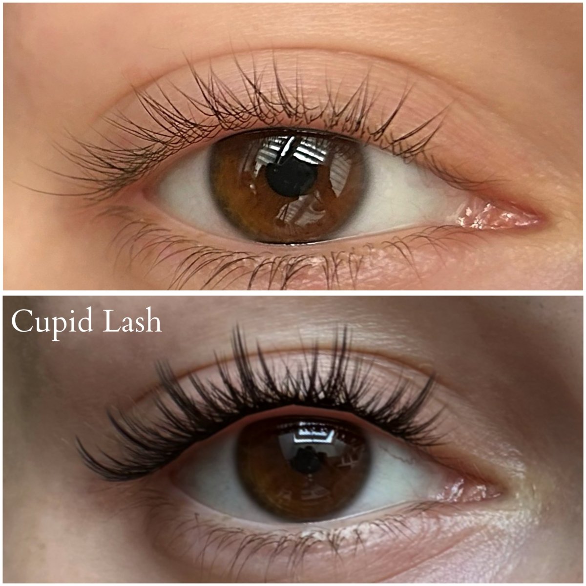 Cupid Express Lash - Modna Lash