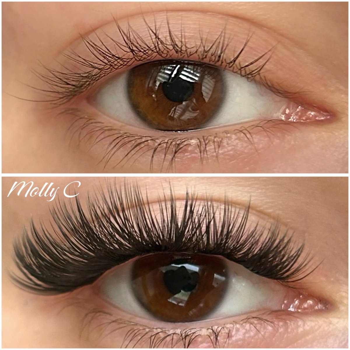 molly C 50 kępek - Modna Lash