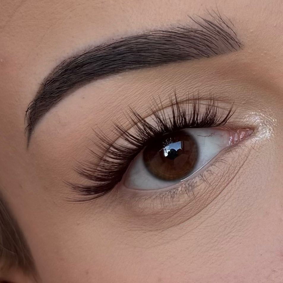 Drama Girl Brown - Modna Lash