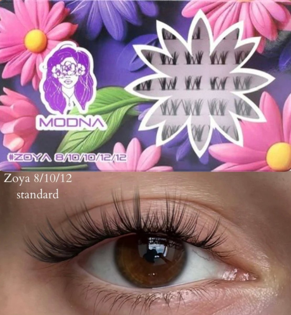 zoya 8/10/12 C jedwab - Modna Lash