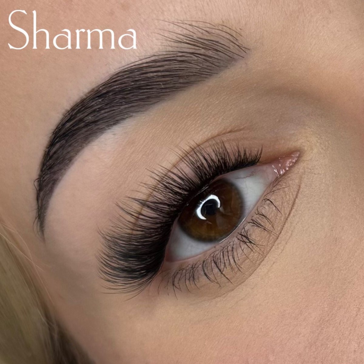Exclusive pakiet - Modna Lash