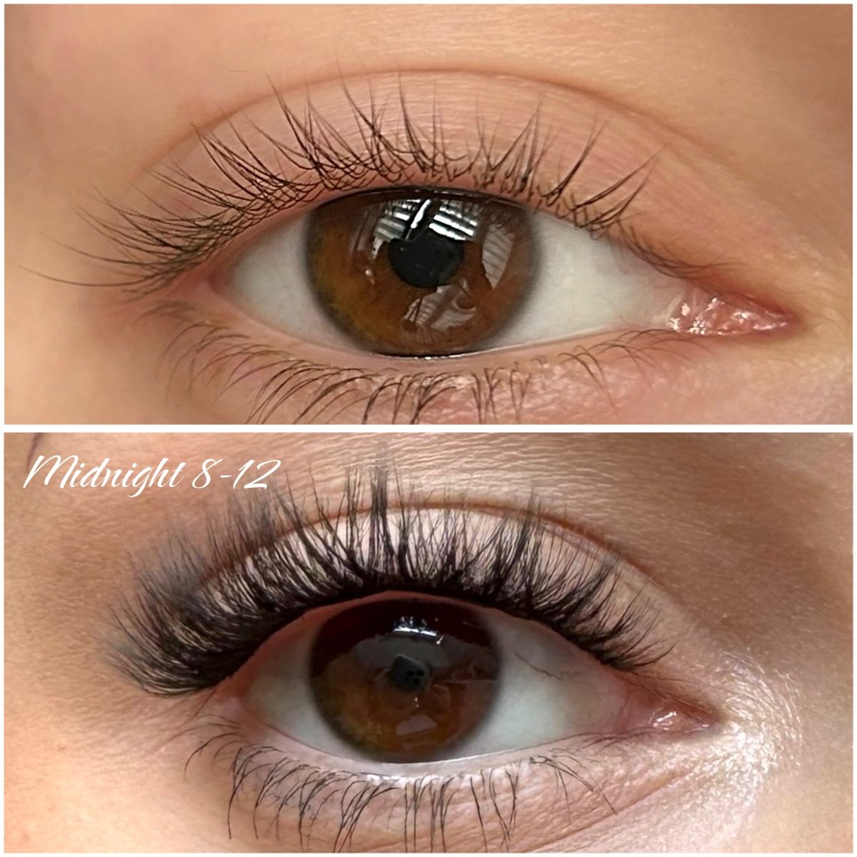 midnight bio 8/10/12/12 - Modna Lash