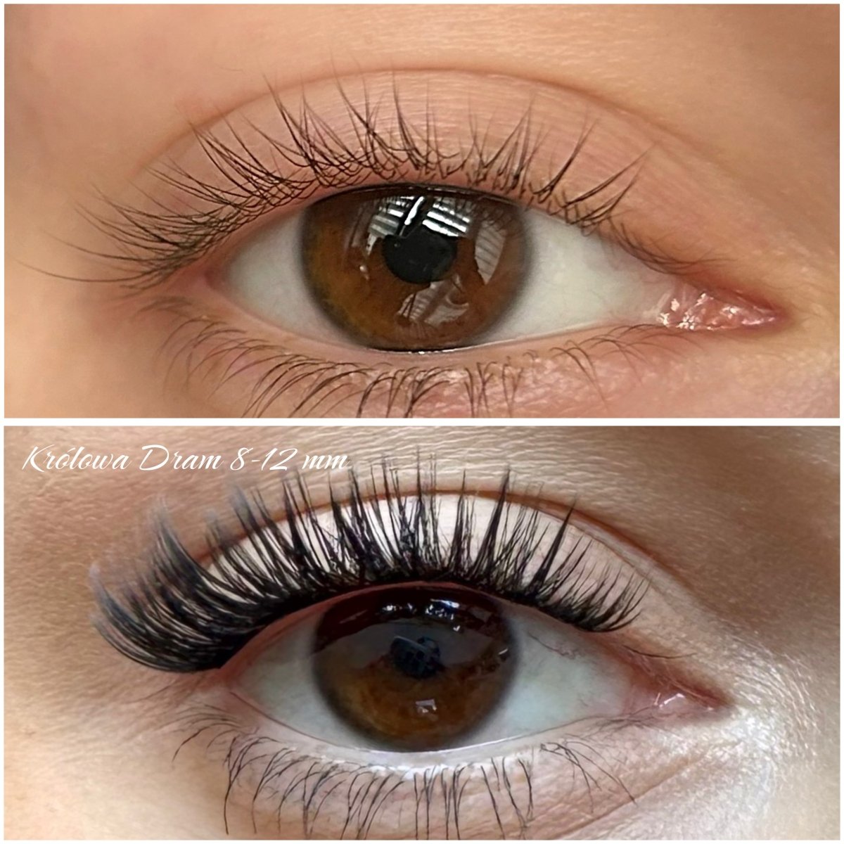 królowa dram 8/10/10/12/12 - Modna Lash