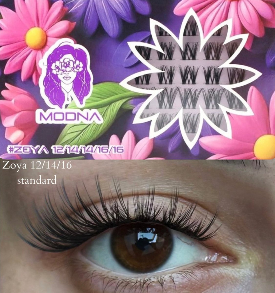 zoya 12/14/16 C jedwab - Modna Lash