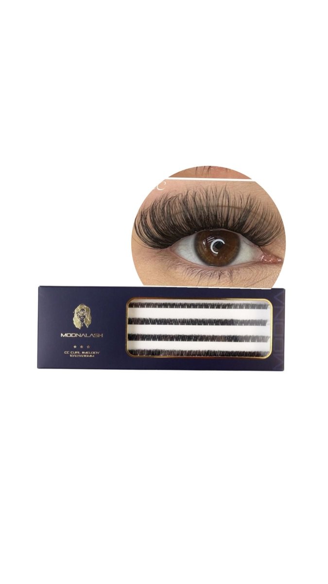 melody 10/12/14/16 CC kaszmir paper box - Modna Lash