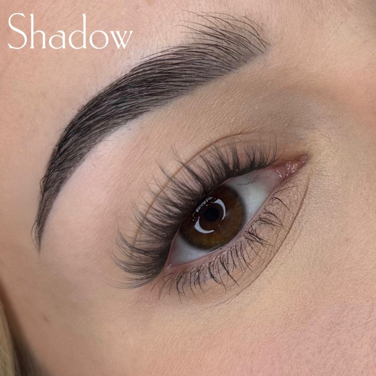 Exclusive pakiet - Modna Lash