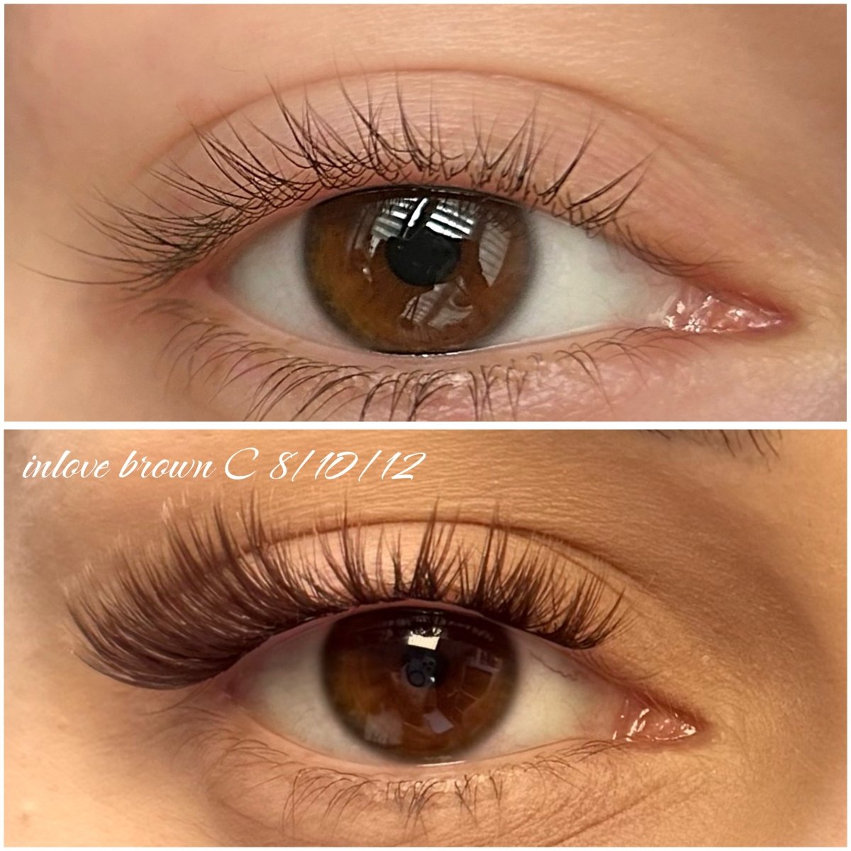 inlove brown C 8/10/12 starter kit - Modna Lash