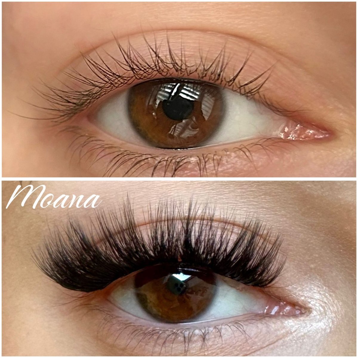 moana bio 10/12/14 - Modna Lash