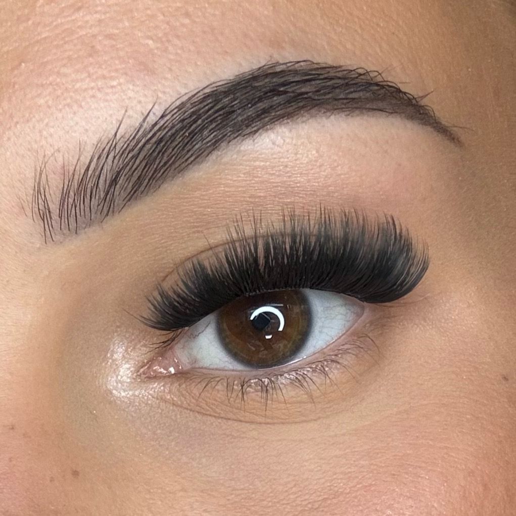 Molly C 8 - 10 - 12mm - Modna Lash