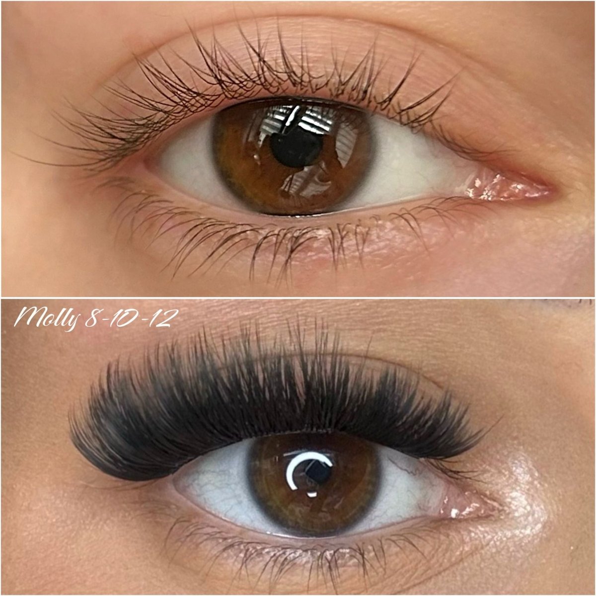 Molly C 8 - 10 - 12mm - Modna Lash