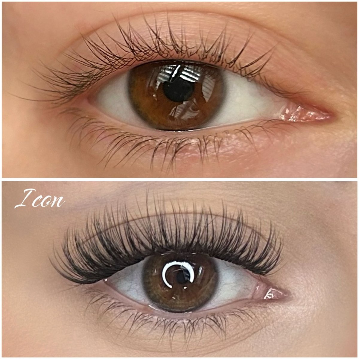 Icon gotowe kępki do aplikacji - Modna Lash