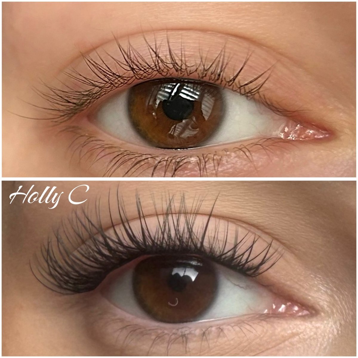 Holly skręt C EXPRESS LASH - Modna Lash
