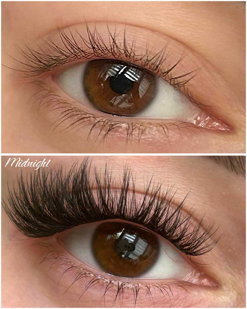 midnight bio 10/12/14/16 - Modna Lash