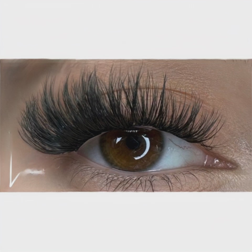 #Lara 10/12/14/16  CC rzęsy kaszmirowe